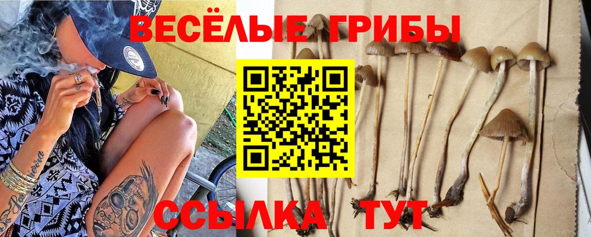 Великий Устюг  наркота  Вход с VPN  Псилоцибиновые грибы прущие грибы  Псилоцибиновые грибы Magic Shrooms 
