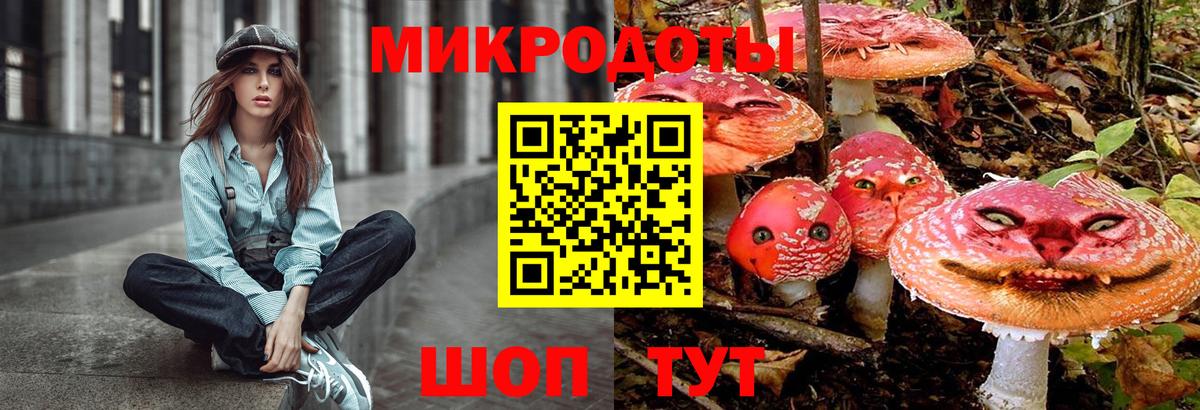 Галлюциногенные грибы мицелий Великий Устюг